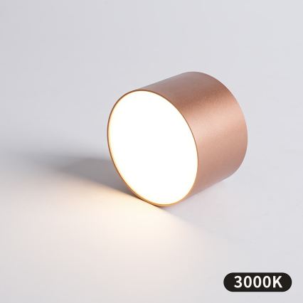 BRILAGI - Plafonieră pentru baie FORIS LED/9W/230V Ø 9 cm bronz IP44 CRI 90