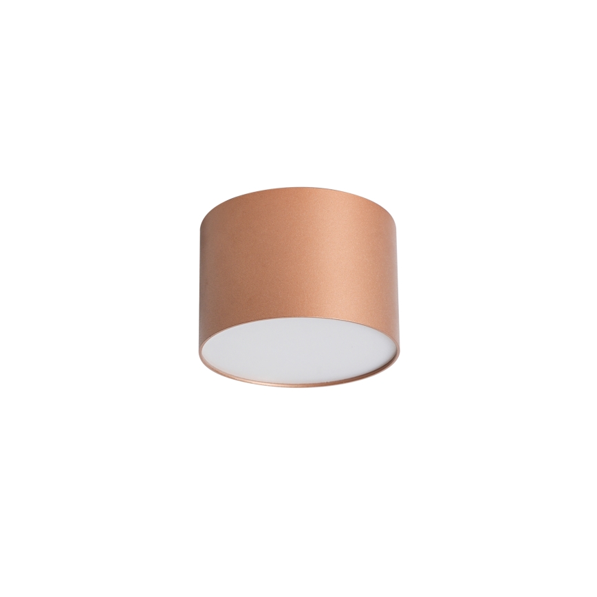 BRILAGI - Plafonieră pentru baie FORIS LED/9W/230V Ø 9 cm bronz IP44 CRI 90