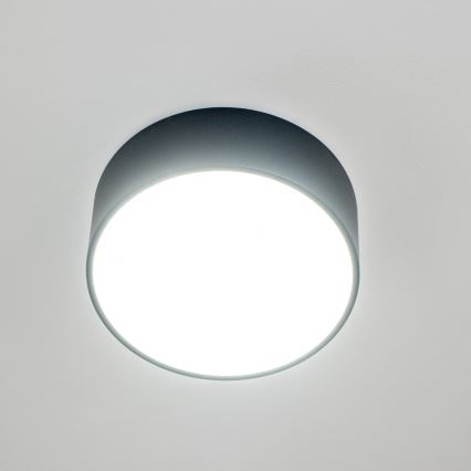 Brilagi - Plafonieră pentru baie POOL 2xE27/15W/230V Ø 30 cm IP54 negru
