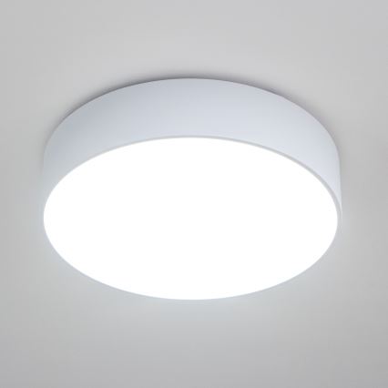Brilagi - Plafonieră pentru baie POOL 4xE27/15W/230V Ø 50 cm IP54 albă