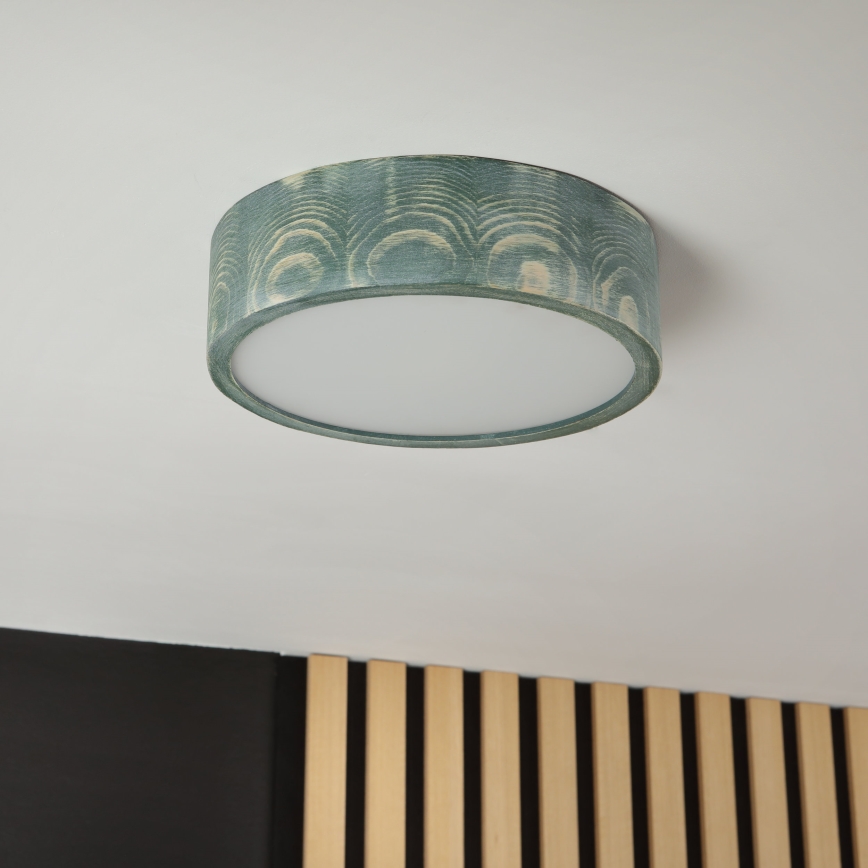 Brilagi - Plafonieră PINO 1xE27/15W/230V pin/verde Ø 27,5 cm