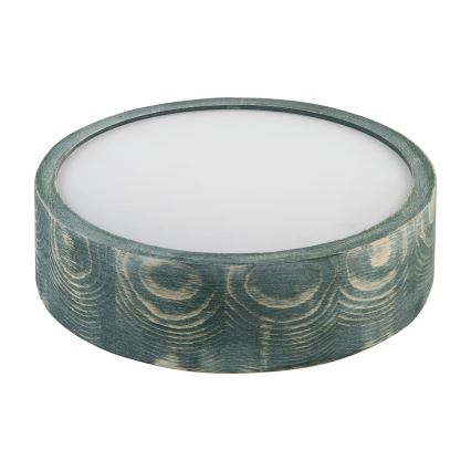 Brilagi - Plafonieră PINO 1xE27/15W/230V pin/verde Ø 27,5 cm