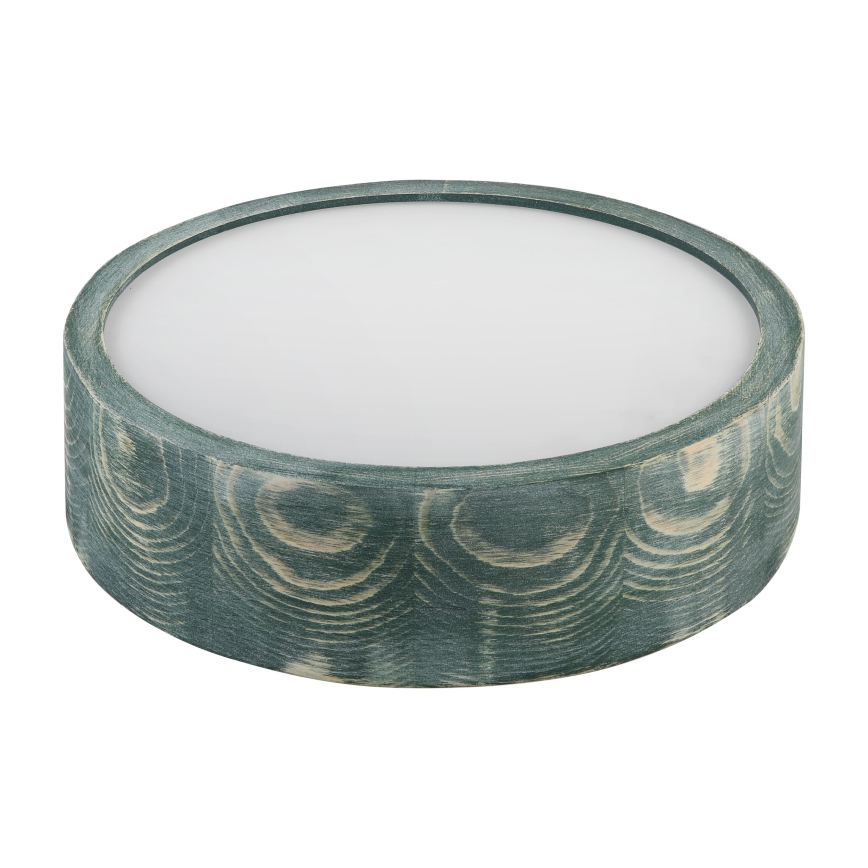 Brilagi - Plafonieră PINO 1xE27/15W/230V pin/verde Ø 27,5 cm