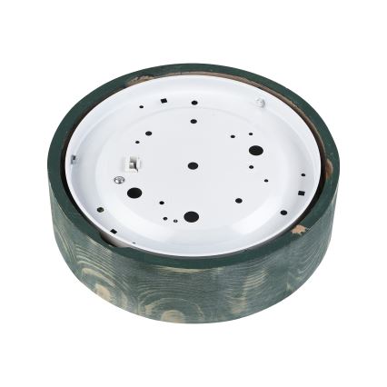 Brilagi - Plafonieră PINO 1xE27/15W/230V pin/verde Ø 27,5 cm