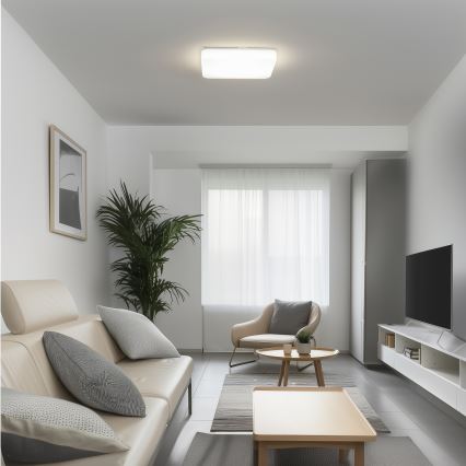 Brilagi - Plafonieră LED PLAIN, 24 W, 230 V, 37,5 x 37,5 cm, 3000 K