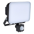 BRILAGI - Proiector LED cu senzor ELARA PRO, 30 W, 230 V, IP65