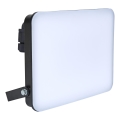 BRILAGI - Proiector LED ELARA PRO, 100 W, 230 V, IP65