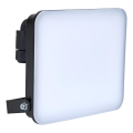 BRILAGI - Proiector LED ELARA PRO LED/50W/230V IP65