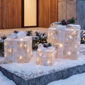 BRILAGI - Set cu 3 LED-uri, decorațiuni de Crăciun pentru exterior, LED/230V IP44, cadouri