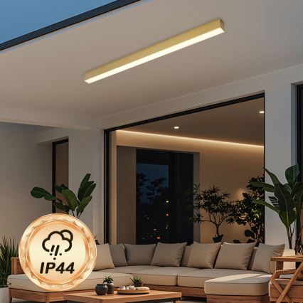 Brilagi - Plafonieră LED pentru baie SLEEKLINE LED/40W/230V 3000/4500/6000K auriu IP44