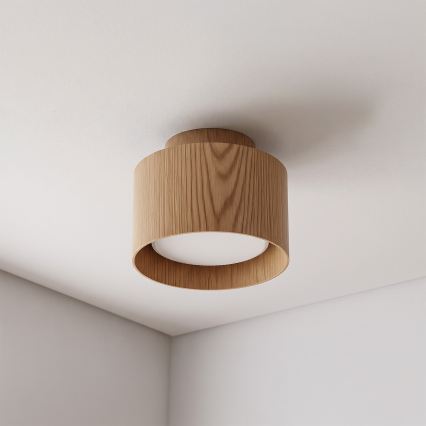 BRILAGI - Spot LED BACKLIT 1xGX53/15W/230V + LED/3W Ø 10 cm decor stejar