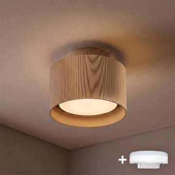 BRILAGI - Spot LED BACKLIT 1xGX53/15W/230V + LED/3W Ø 10 cm decor stejar