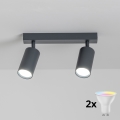 Brilagi - Spot LED dimabil RGBW SELE 2xGU10/4,8W/230V 3000K antracit + telecomandă