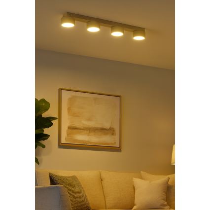 Brilagi - Spot LED MONO 4xGX53/13W/230V bej
