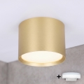 BRILAGI - Spot LED pentru baie SMOOTH 1xGX53/15W/230V 60x82 mm auriu IP54