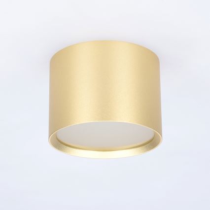 BRILAGI - Spot LED pentru baie SMOOTH 1xGX53/15W/230V 60x82 mm auriu IP54