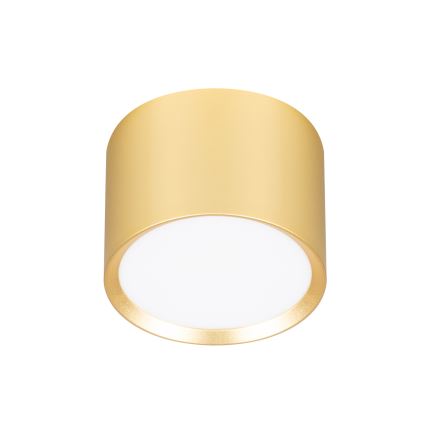 BRILAGI - LED RGB+CCT Spot încastrat dimmabil SMOOTH 1xGX53/14W/230V 60x82 mm 2700-6500K Wi‑Fi Tuya auriu