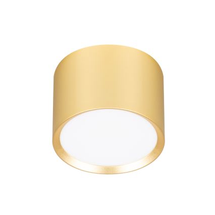 Brilagi - LED RGB+CCT Spot încastrat dimmabil SMOOTH 1xGX53/14W/230V 2700-6500K Wi‑Fi Tuya auriu