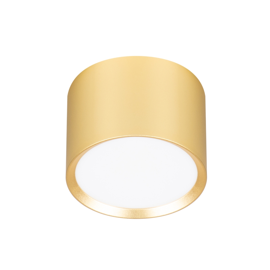 Brilagi - LED RGB+CCT Spot încastrat dimmabil SMOOTH 1xGX53/14W/230V 2700-6500K Wi‑Fi Tuya auriu
