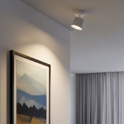 Brilagi - Spot LED RGB+CCT dimmabil STRIPY 1xGX53/14W/230V 2700-6500K Wi-Fi Tuya alb