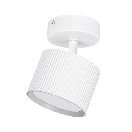 Brilagi - Spot LED RGB+CCT dimmabil STRIPY 1xGX53/14W/230V 2700-6500K Wi-Fi Tuya alb