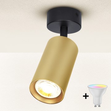 Brilagi - Spot LED RGBW reglabil SELE GOLDEN 1xGU10/6W/230V 3000K negru/auriu + telecomandă