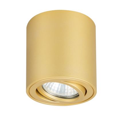 Brilagi - Spot MIA, 1x GU10, 30W, 230V, 84 x 80 mm, culoare bronz