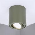 BRILAGI - Spot MIA 1xGU10/30W/230V 84x80 mm verde închis