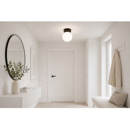 Brilagi - Spot MILO 1xE27/60W/230V negru