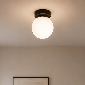BRILAGI - Spot MILO 1xE27/60W/230V Ø 15 cm negru