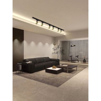 Brilagi - Spot pe șină HUSKY, 6 x GU10, 10 W, 230 V, negru/auriu