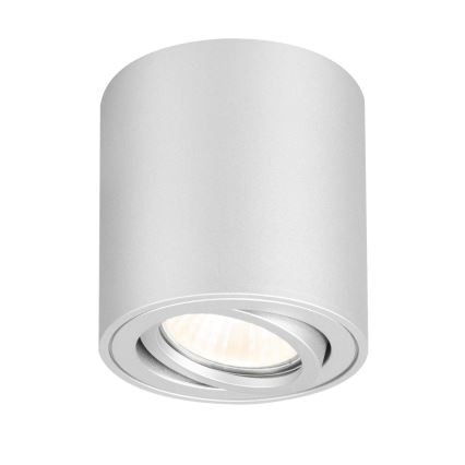 Brilagi - Spot pentru baie MIA, 1x GU10, 30 W, 230 V, 84 x 80 mm, finisaj argintiu, IP54