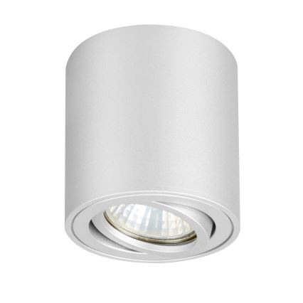 Brilagi - Spot pentru baie MIA, 1x GU10, 30 W, 230 V, 84 x 80 mm, finisaj argintiu, IP54