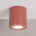 BRILAGI - Spot pentru baie MIA 1xGU10/30W/230V 84x80 mm maro IP54