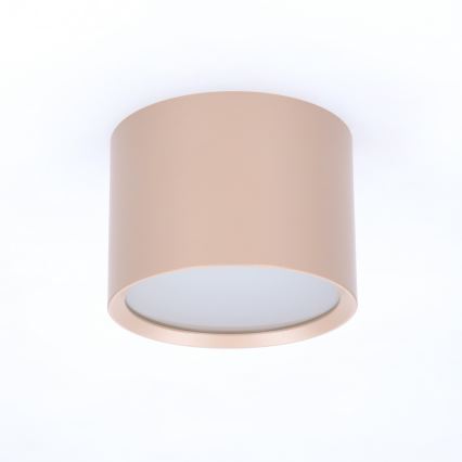 BRILAGI - Spot pentru baie SMOOTH 1xGX53/15W/230V 60x82 mm bej IP54