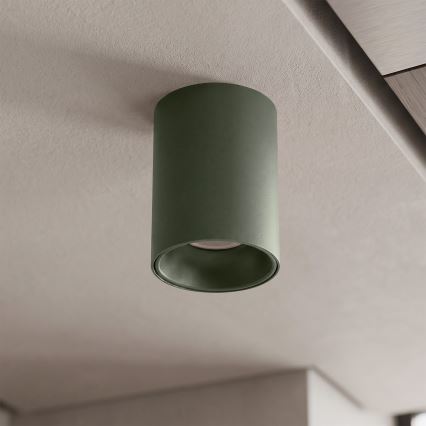 BRILAGI - Spot TRINE 1xGU10/30W/230V verde închis