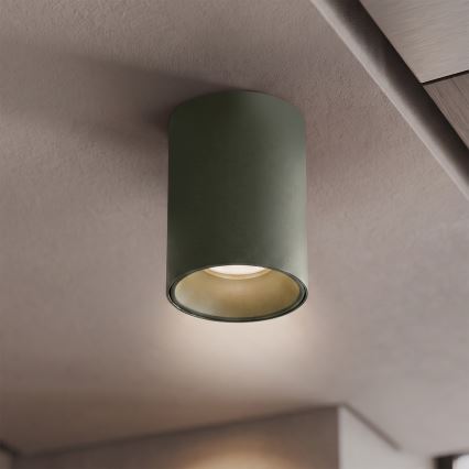 BRILAGI - Spot TRINE 1xGU10/30W/230V verde închis
