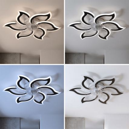 Brilagi - Ventilator de tavan LED dimabil, 34 W, 230 V, Ø 83 cm, negru, cu telecomandă