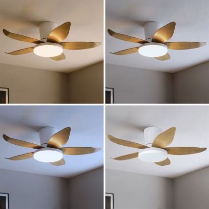 Brilagi - Ventilator de tavan cu iluminare LED reglabilă, 32W, 230V, 95 cm, alb/maro + telecomandă