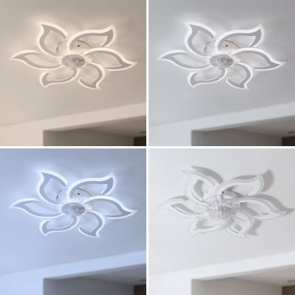 Brilagi - Ventilator de tavan LED dimerizabil/34W/230V 3000-6500K Ø 83 cm alb + telecomandă