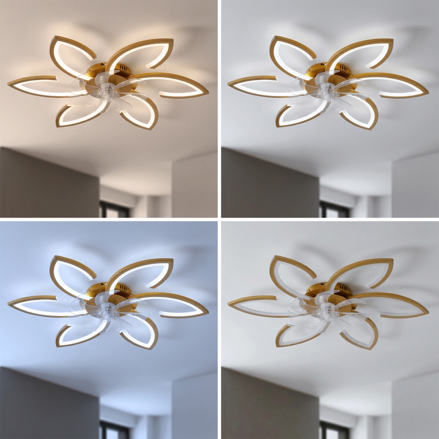 Brilagi - Ventilator de tavan LED dimabil 34W/230V, Ø 78 cm, auriu + telecomandă