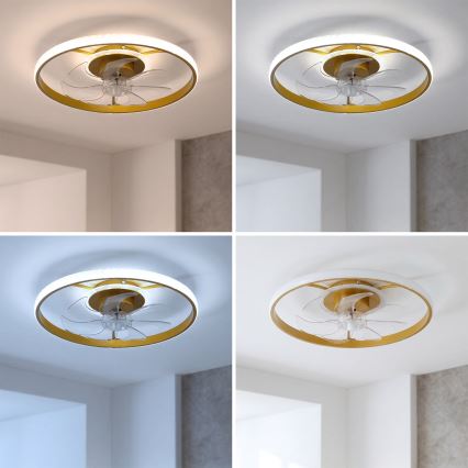 Brilagi - Ventilator de tavan LED dimabil, 66 W, 230 V, 3000-6500 K, Ø 55 cm, alb/auriu, cu telecomandă