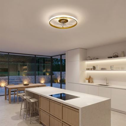Brilagi - Ventilator de tavan LED dimabil, 66 W, 230 V, 3000-6500 K, Ø 55 cm, alb/auriu, cu telecomandă