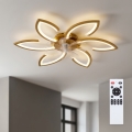 Brilagi - Ventilator de tavan LED dimabil LED/34W/230V 3000-6500K Ø 78 cm auriu + telecomandă