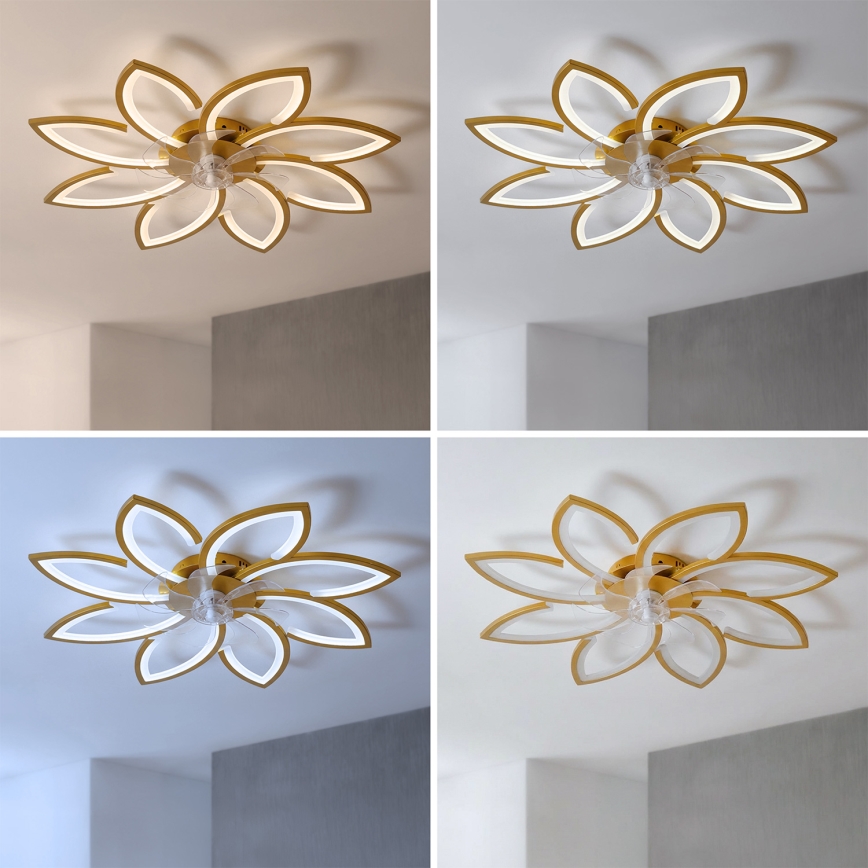 Brilagi - Ventilator de tavan LED reglabil LED/43W/230V 3000-6500K diametru 90 cm auriu + telecomandă