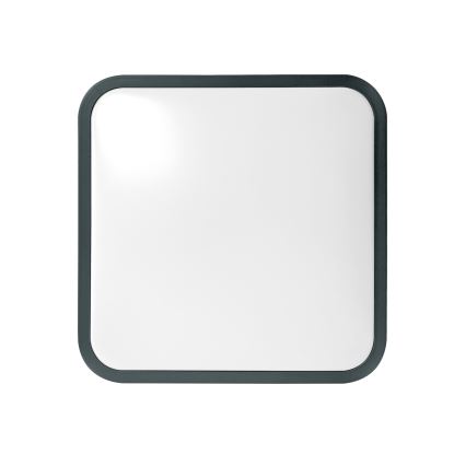 Brilagi - Plafonieră LED pentru baie ZENNA, 18 W, 230 V, 28,5 x 28,5 cm, IP44, antracit