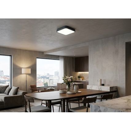 BRILAGI - Plafonieră LED pentru baie ZENNA, 18 W, 230 V, 28,5 x 28,5 cm, IP44, antracit