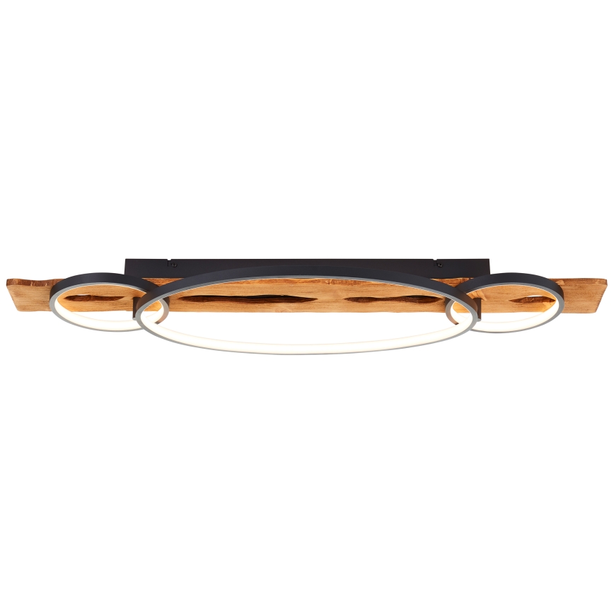Brilliant - Plafonieră LED dimabilă PIRUS LED/40W/230V 30x90 cm ficus