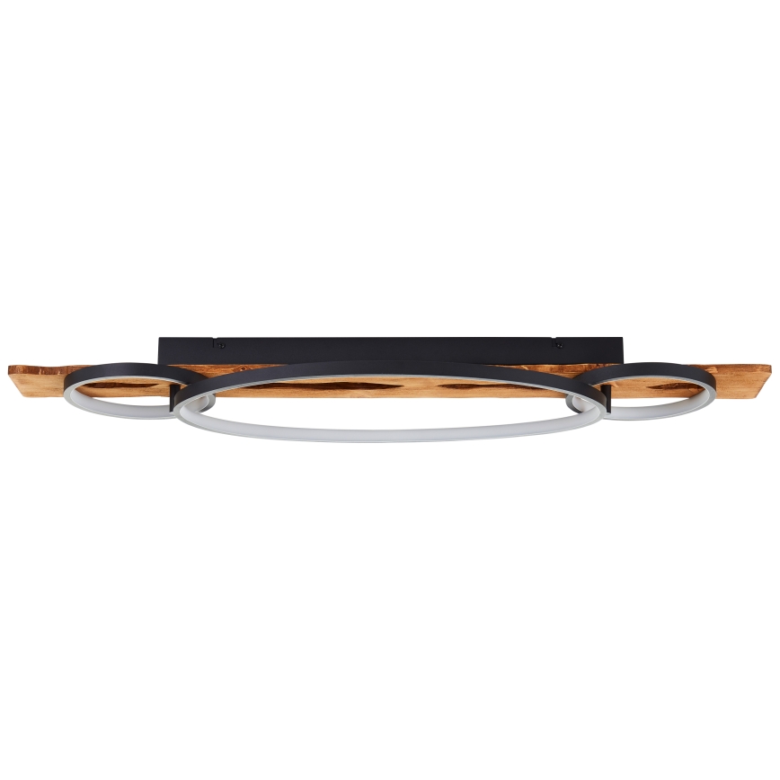 Brilliant - Plafonieră LED dimabilă PIRUS LED/40W/230V 30x90 cm ficus