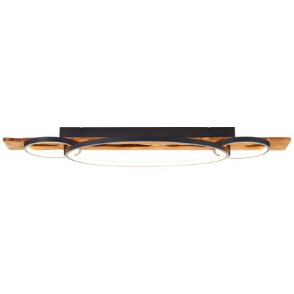 Brilliant - Plafonieră LED dimabilă PIRUS LED/40W/230V 30x90 cm ficus